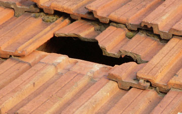 roof repair Dresden, Staffordshire